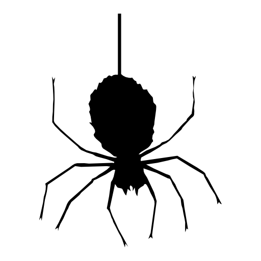 Spider for Halloween