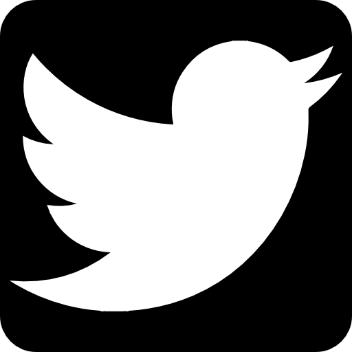 Twitter social network symbol