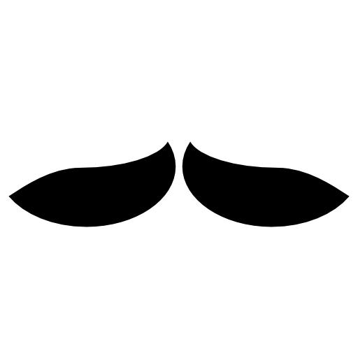Mustache pair