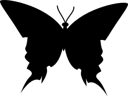Butterfly black silhouette top view