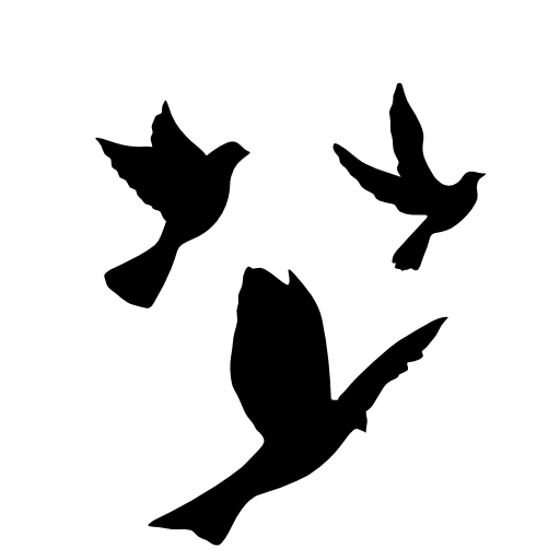 Flying doves group