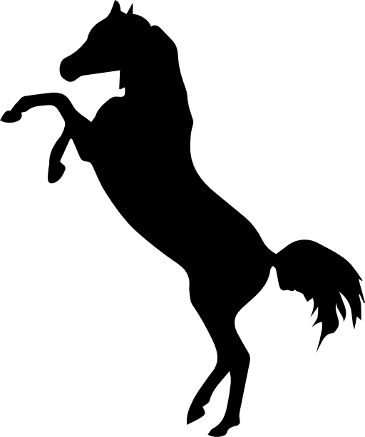 Horse standing on two back paws black side view silhouette
