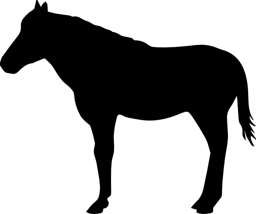 Horse standing black shape from side view