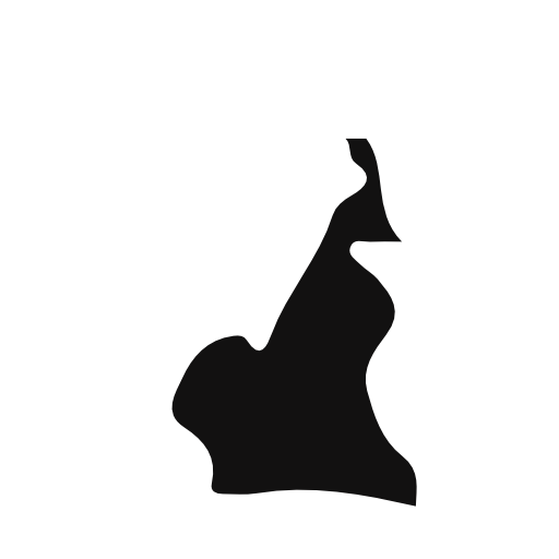 Cameroon country map silhouette