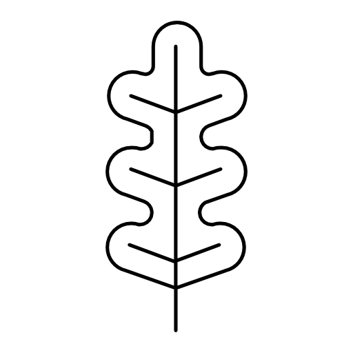 Plant leaf with irregular curves