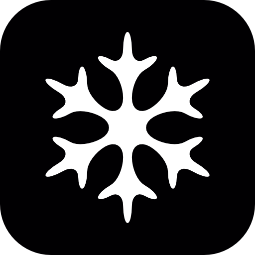 Snowflake winter shape in black and white