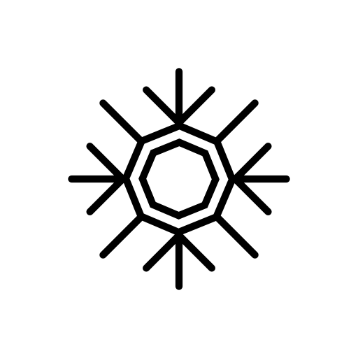 Snowflake of octagonal shape