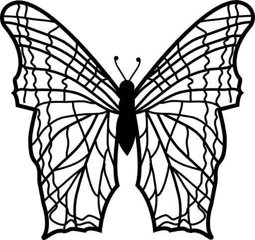 Butterfly with complex thin lines pattern wings from top view