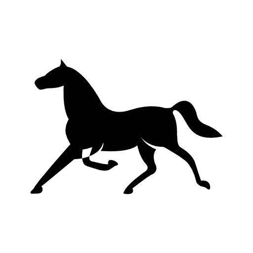 Horse of thin elegant black shape in running pose