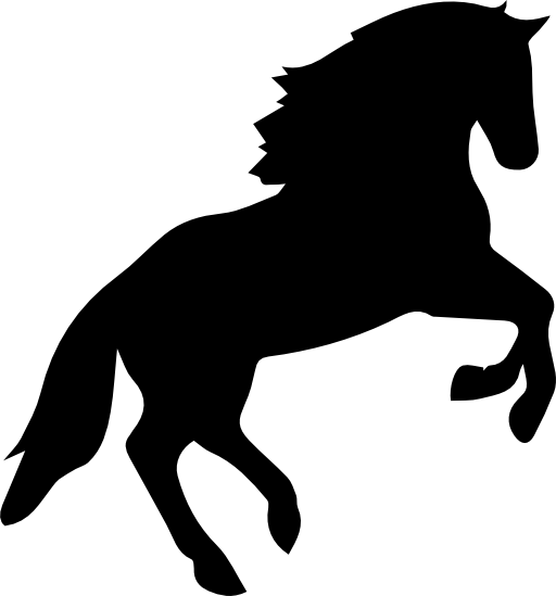 Horse jumping silhouette
